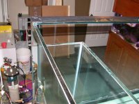 close ups of tank 004.jpg