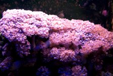 xenia050211.jpg