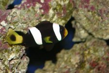 various good shots 006.jpg
