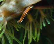 040101 d6102m3 640x.jpg