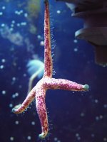 dscf2671.jpg