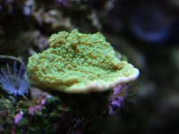 dscf2618.jpg