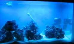 03082005right.JPG