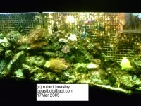 2005031755gmed.JPG