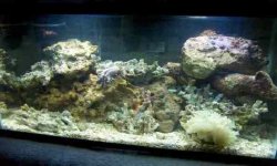 nano tank edited.jpg