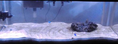 tank1.jpg