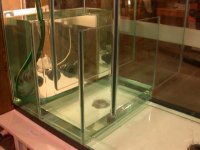Filling the sump and tank 003.jpg