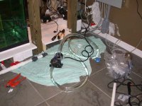 Filling the sump and tank 006.jpg