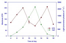 photosynthesisactivitychart.jpg