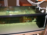 Running the tank for the first time 003.jpg