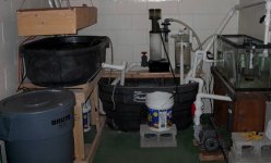 more recenter sump.JPG