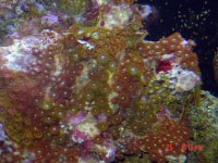 cnv0021.jpg