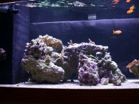 1-1-06 update 005.jpg