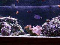 1-1-06 update 004.jpg