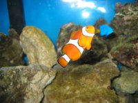 IMG_2918.JPG