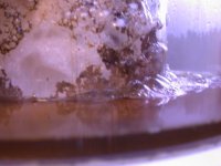 Bubble King 002.jpg
