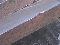 groundcover.jpg