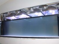 Lights on 002.jpg