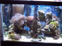 100_0779.JPG
