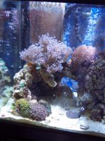 100_0759.JPG