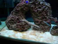 DSCN0199.JPG