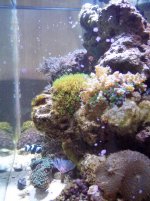100_0756.JPG