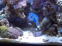 100_0757.JPG
