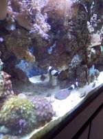 100_0760.JPG