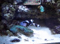 100_0764.JPG