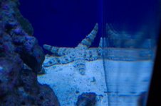 100_0931 (medium).jpg