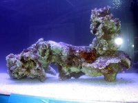 Rock 003.jpg