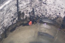 mini-clamnight 008.jpg