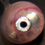 banggai_egg.jpg