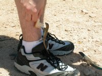 bonaire 021 (large).jpg