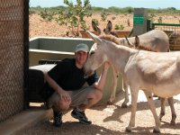 bonaire 058 (large).jpg