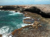 bonaire 033 (large).jpg