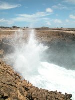 bonaire 028 (large).jpg