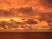 bonaire 013 (large).jpg