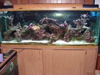Tank 8-30-2005.JPG
