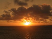 bonaire 010 (large).jpg