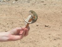 bonaire 020 (large).jpg