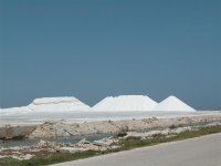 bonaire 062 (large).jpg