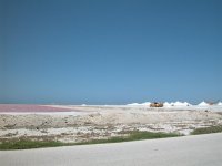 bonaire 061 (large).jpg