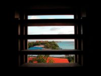 bonaire 096 (large).jpg