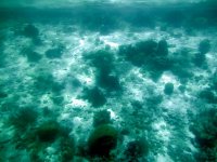 bonaire 089 (large).jpg