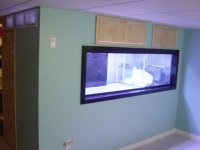 picture 002.jpg