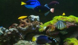 half of the family.jpg