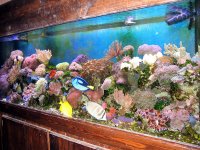img_0143 (custom).jpg