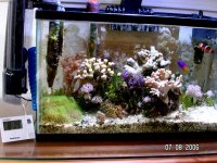 July8th10gal.jpg