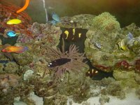 most of the fish.JPG